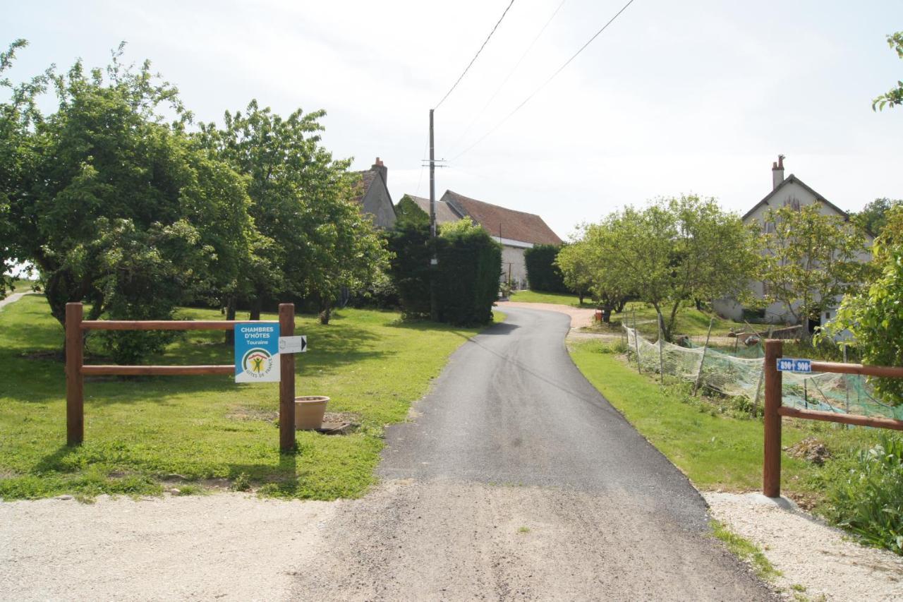 Chambres D Hotes De La Mauguiniere Neuillé-le-Lierre Exteriér fotografie