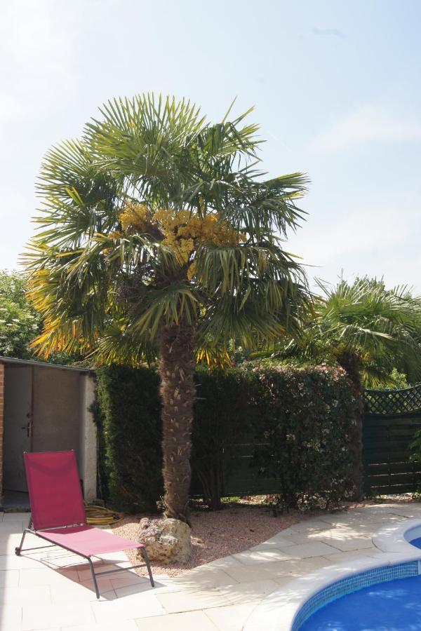 Chambres D Hotes De La Mauguiniere Neuillé-le-Lierre Exteriér fotografie